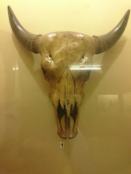 Mizoram State Museum-1